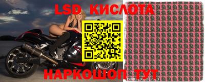 прущие грибы Туймазы