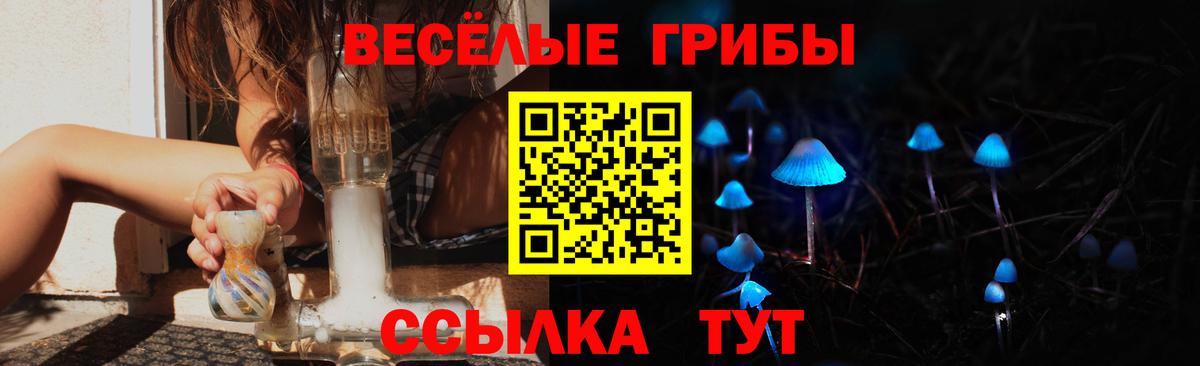 Мурино  Галлюциногенные грибы мицелий  Вход с VPN 