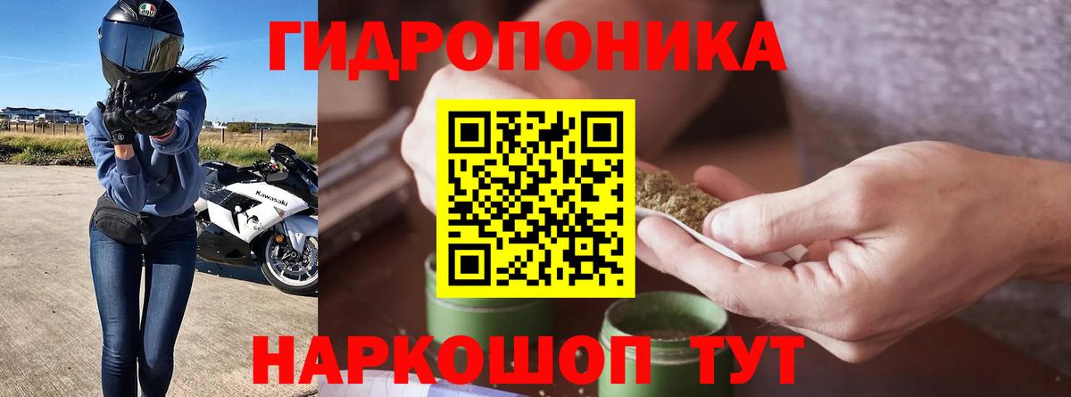 Конопля планчик Мурино